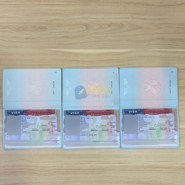 Các loại visa Mỹ diện du lịch