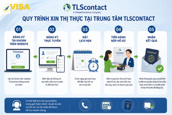 Quy trình nộp hồ sơ tại TLSContact