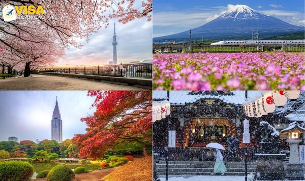 Thời điểm lý tưởng để đi du lịch Tokyo