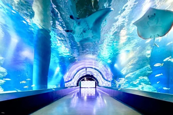 Công viên nước Maxell Aqua Park Shinagawa