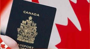 visa du lịch canada có được đi làm không-1