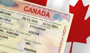 Hồ sơ giấy tờ cần chuẩn bị để xin visa du lịch Canada online
